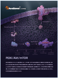 产品手册 | PI3K